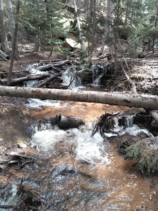 Wellington Lake Picture 8