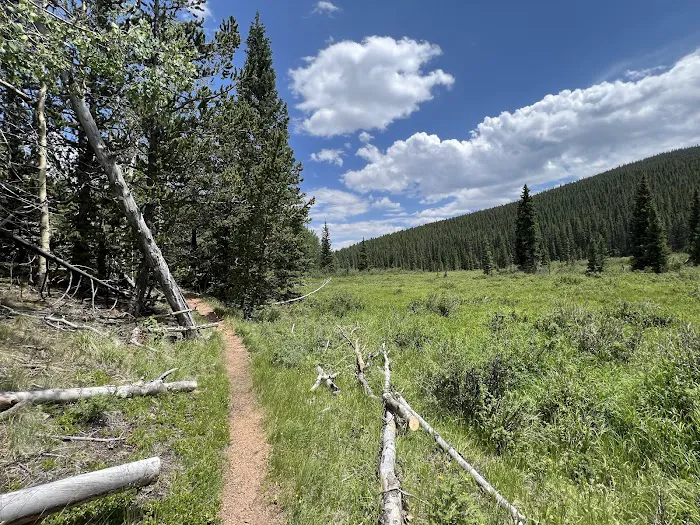Lost Park Campground Picture 1