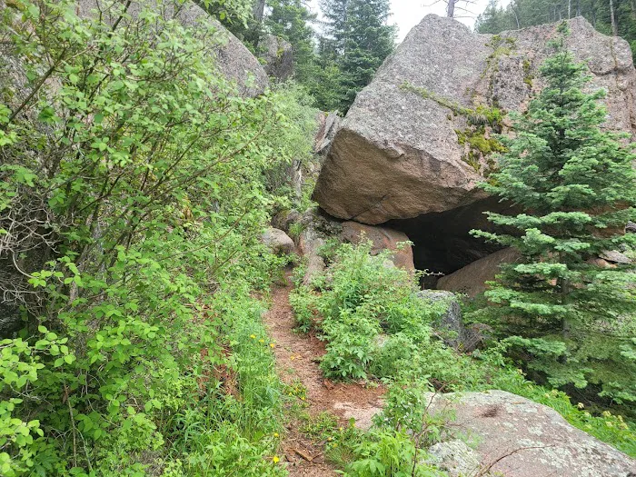 Lost Park Campground Picture 8