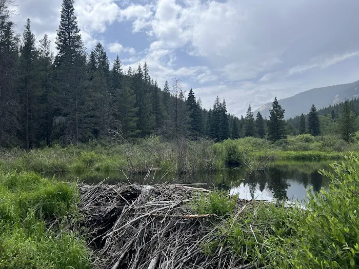 Lost Park Campground Picture 10