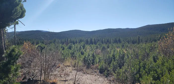 Campsite 2 Picture 4