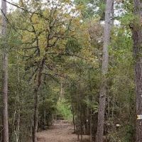 Clark Country RV Park ico