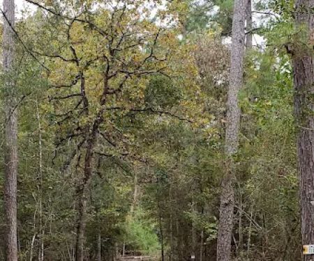 Clark Country RV Park