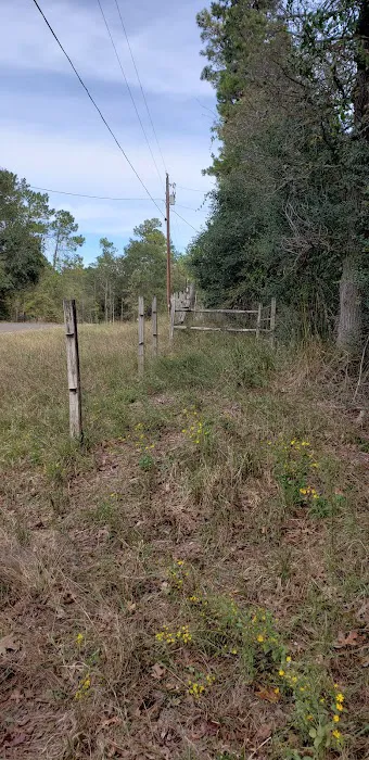 Clark Country RV Park Picture 6