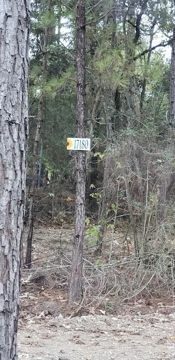 Clark Country RV Park Picture 9