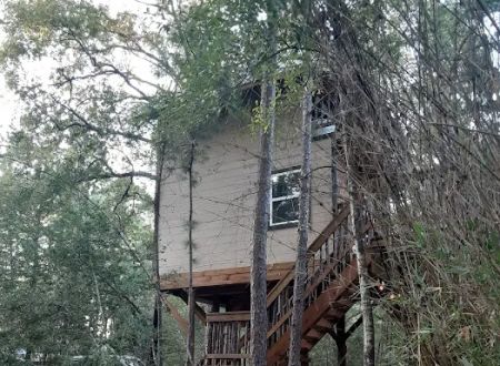 Magical Forest RV Resort