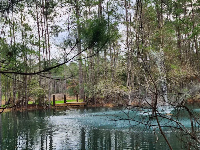 Magical Forest RV Resort Picture 5
