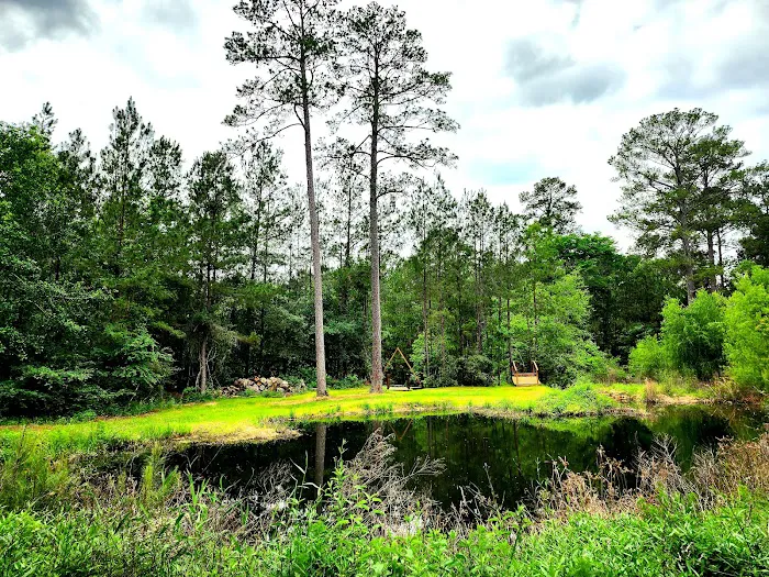 Magical Forest RV Resort Picture 6