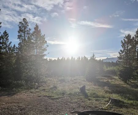 Campsite 7