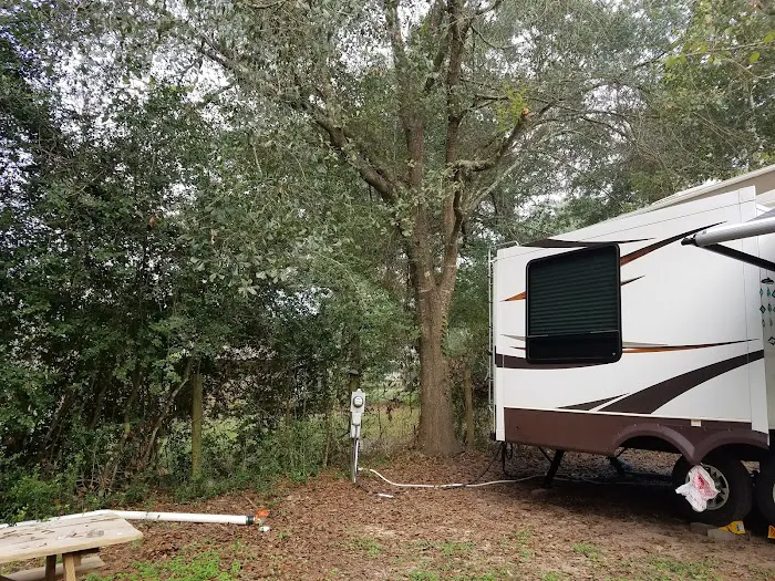 Lake Conroe RV Park Picture 5