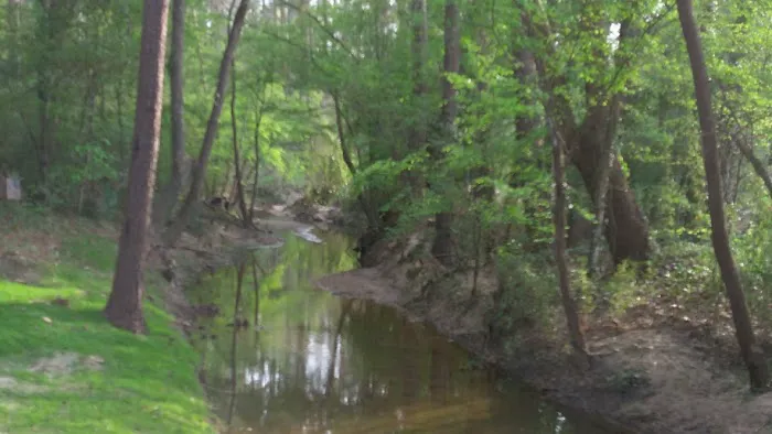 Lake Conroe RV Park Picture 6