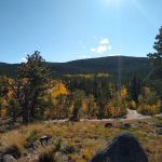 Campsite 16