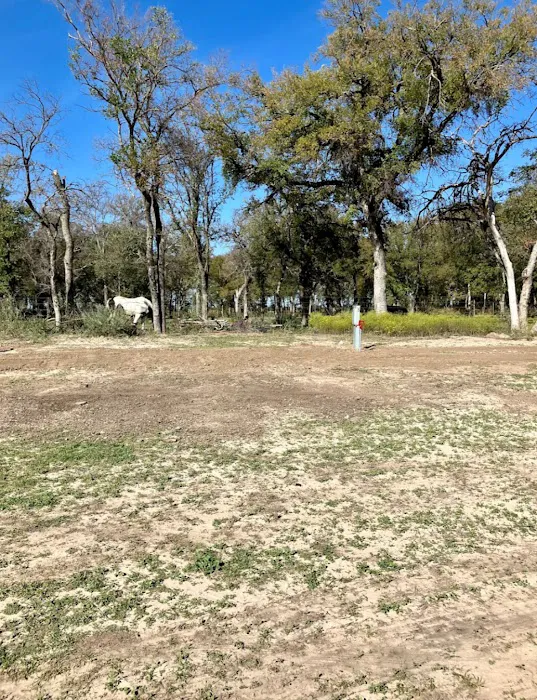 Living Park to Park Picture 4