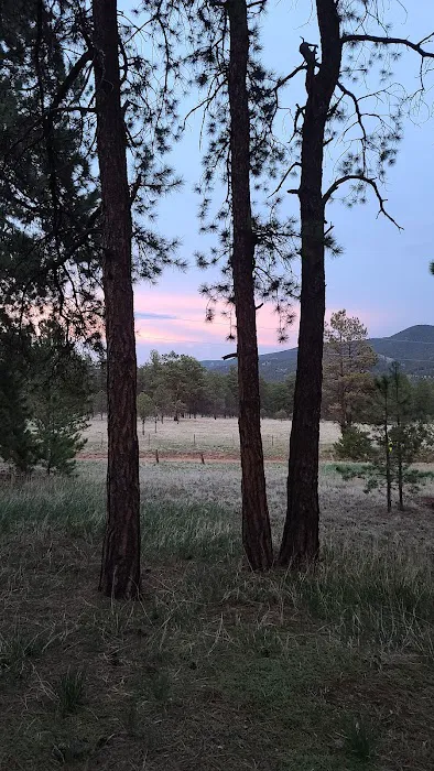 Painted Rocks Campground Picture 6