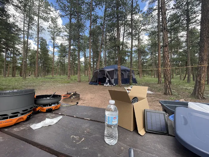 Colorado Campground Picture 2
