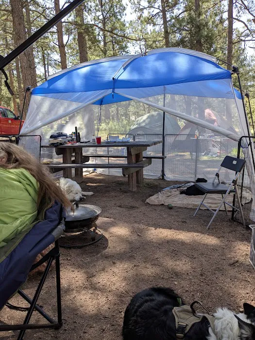 Colorado Campground Picture 1