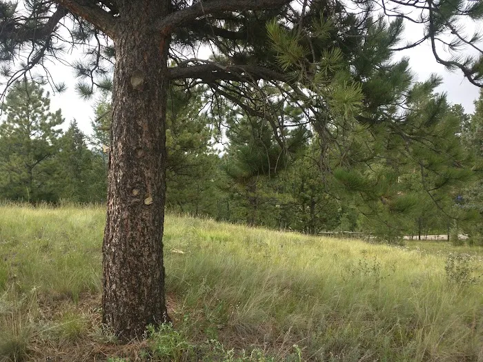 Pike Community Group Campground Picture 8