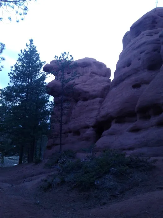 Pike Community Group Campground Picture 10