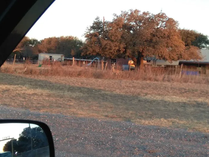 Melody Oaks Ranch Picture 3