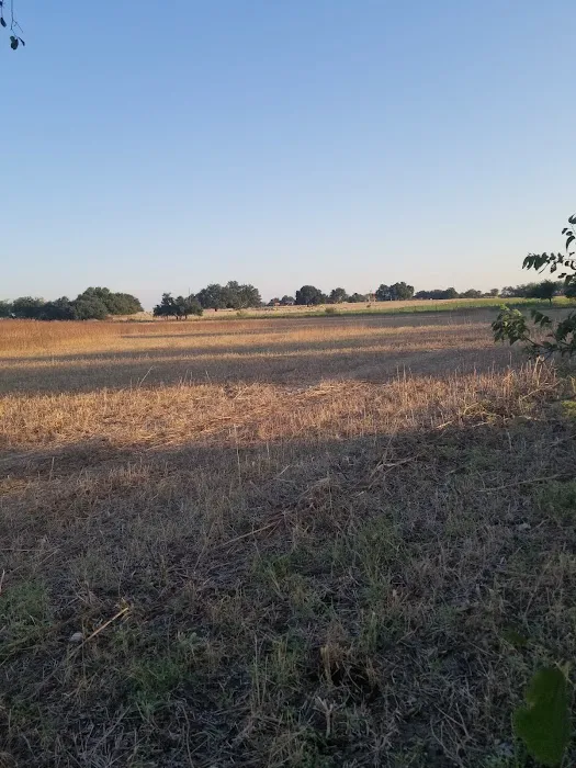 Melody Oaks Ranch Picture 9