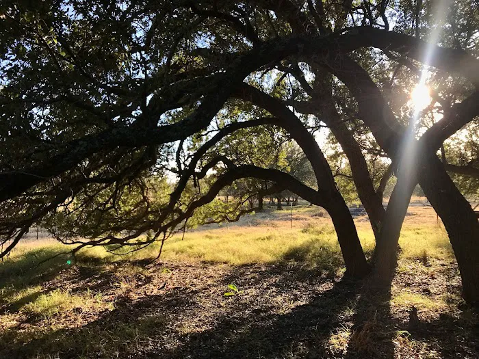 Flying Cow Ranch Picture 6