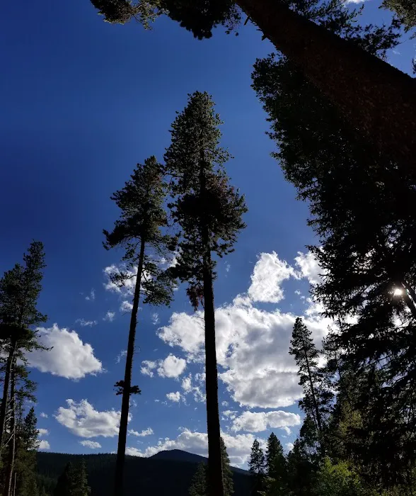 BURNING BEAR CAMPGROUND Picture 5