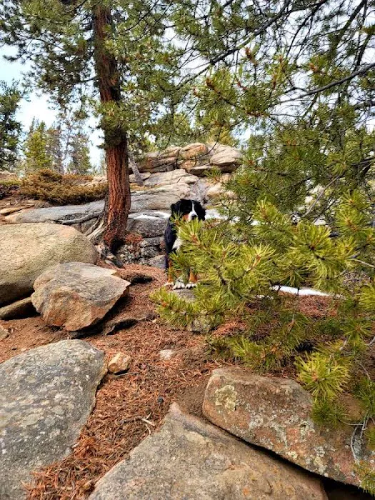 BURNING BEAR CAMPGROUND Picture 10