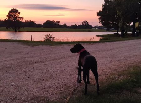 Briar patch RV park warren ar