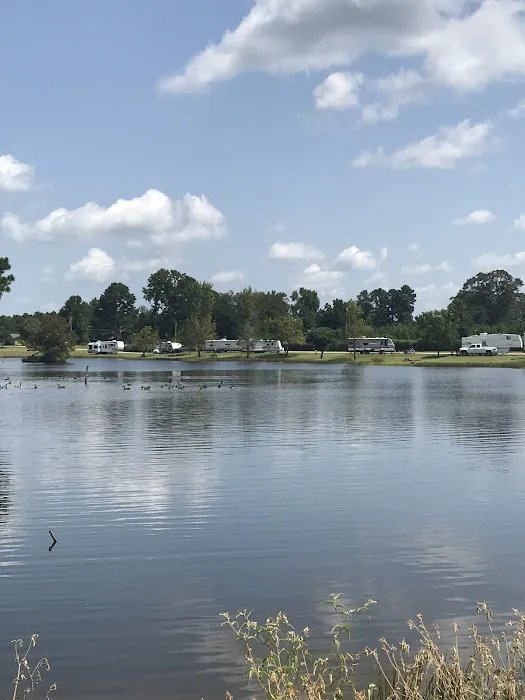 Briar patch RV park warren ar Picture 3