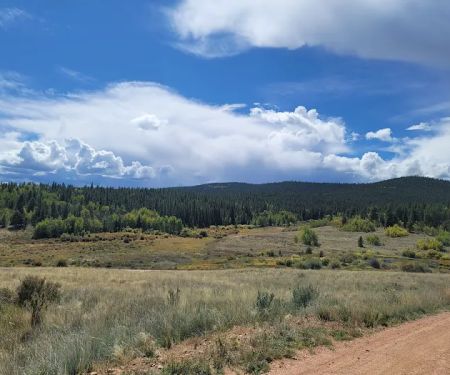 Timberline Campground
