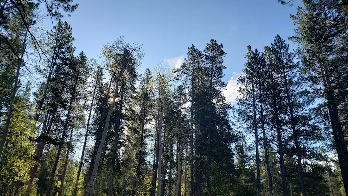 Timberline Campground Picture 3