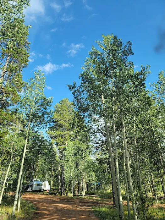 Timberline Campground Picture 6