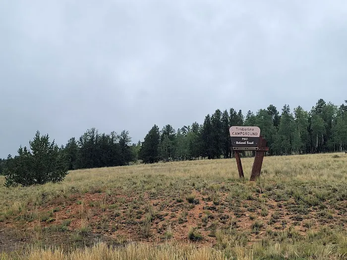 Timberline Campground Picture 4