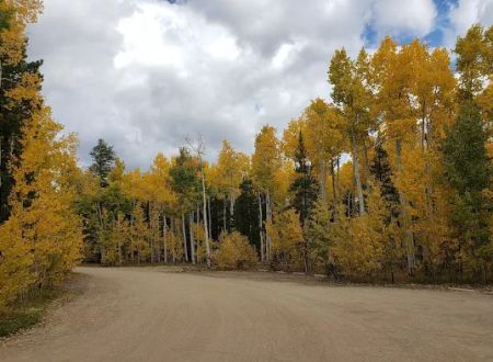 Kenosha East Campground