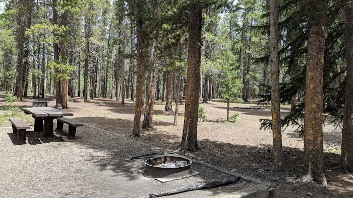 Kenosha East Campground Picture 7