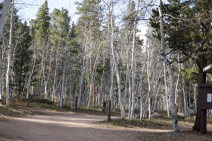 Kenosha Campground Picture 6