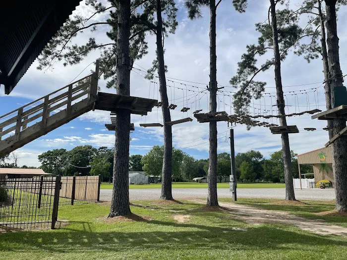Gator Grounds RV Resort Picture 5