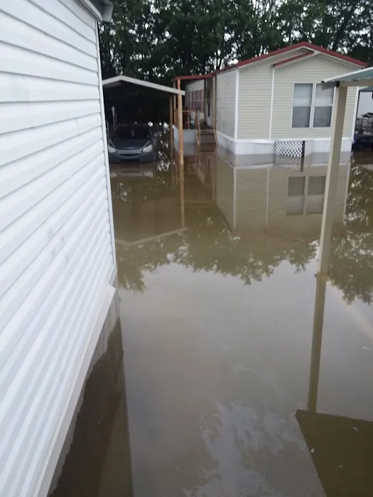 Evergreen Mobile Home Estates Picture 7