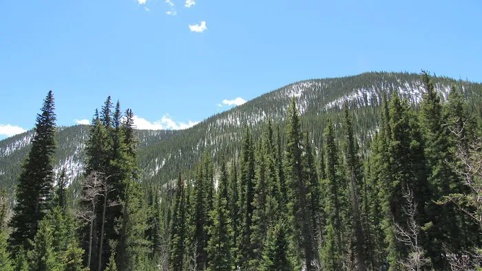 Hall Valley Campground Picture 4