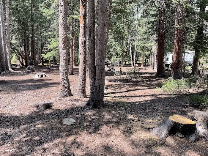 Hall Valley Campground Picture 3