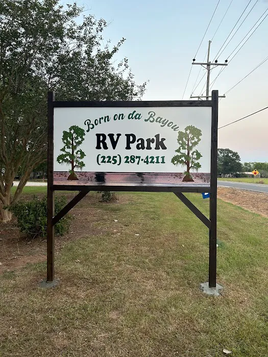 Born On Da Bayou RV Park Picture 2