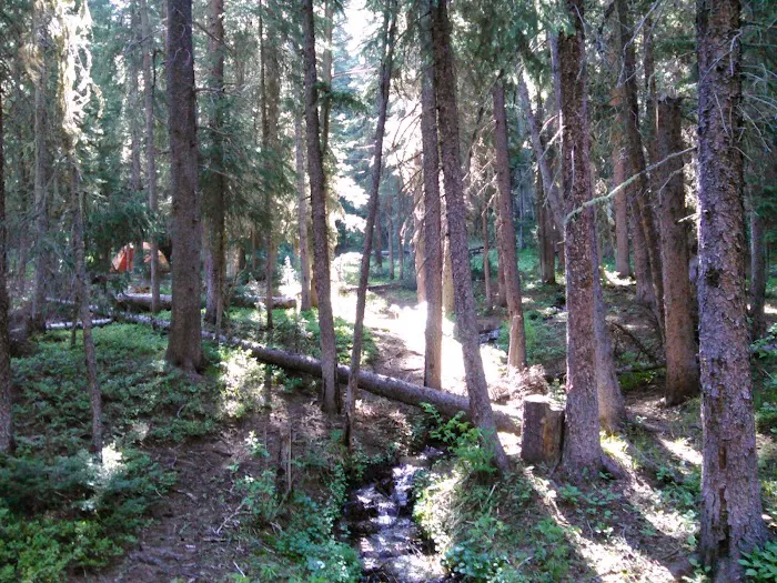 Robbers Roost Campground Picture 2