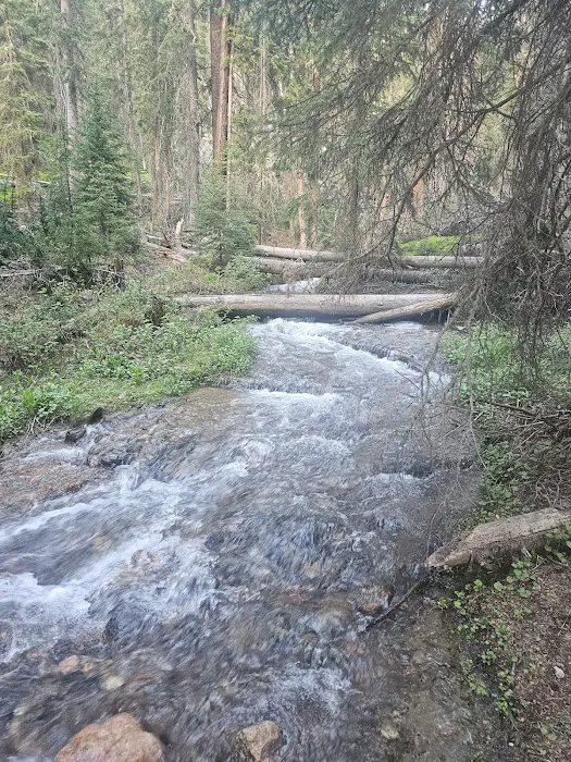 Robbers Roost Campground Picture 7