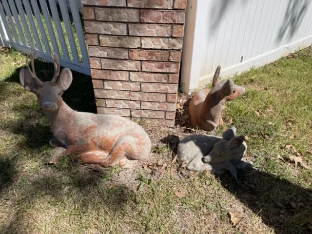 DeerPark Mobile Home and RV Park Picture 4