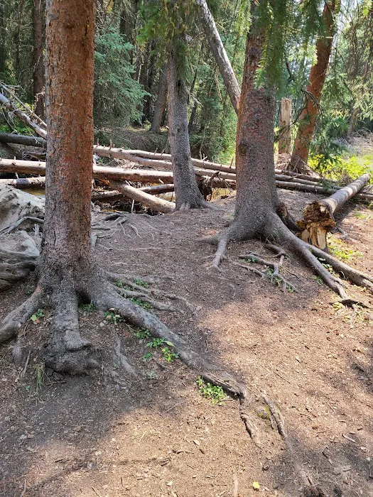 Midland Campground Picture 6