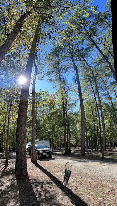 Made in the Shade RV Park Picture 2