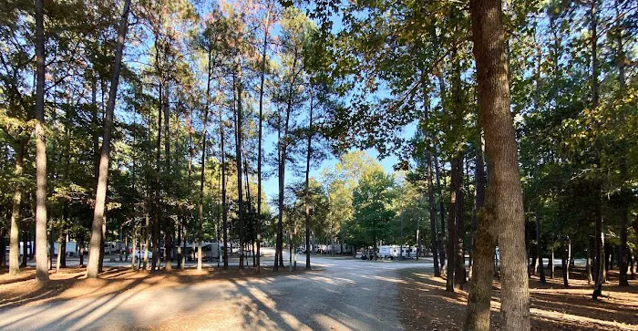 Made in the Shade RV Park Picture 3