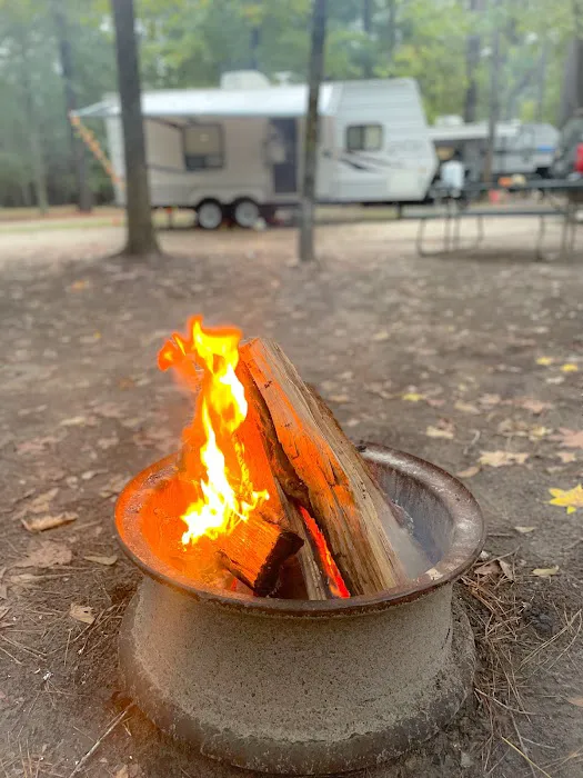 Made in the Shade RV Park Picture 4