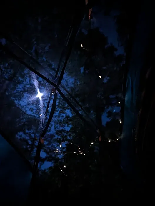 Made in the Shade RV Park Picture 9