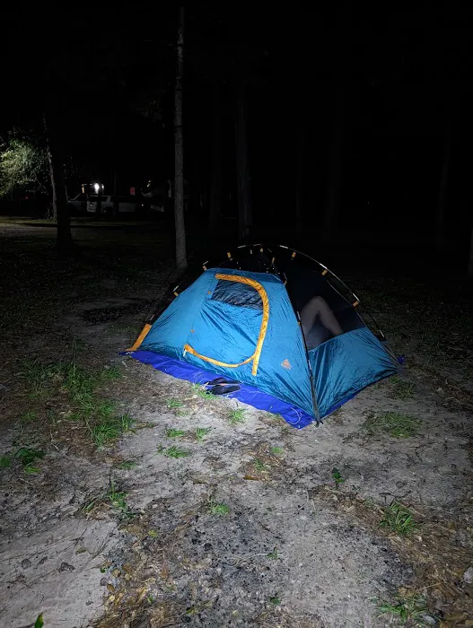 Made in the Shade RV Park Picture 7